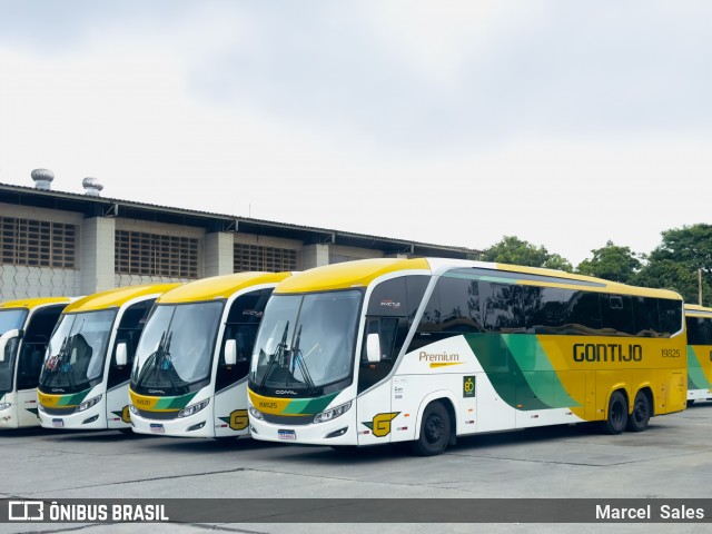 Empresa Gontijo de Transportes 19825 na cidade de Guarulhos, São Paulo, Brasil, por Marcel  Sales. Número da foto: #12561262.