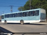 Laranjal Transportes 437 na cidade de Pelotas, Rio Grande do Sul, Brasil, por Miguel Filho. Número da foto: #12560806.