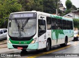 Viação Na Montanha 8043 na cidade de Campos do Jordão, São Paulo, Brasil, por Carlos Eduardo. Número da foto: #12562513.