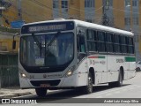 Borborema Imperial Transportes 841 na cidade de Jaboatão dos Guararapes, Pernambuco, Brasil, por André Luiz Araujo Silva. Número da foto: #12564860.
