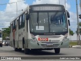 Borborema Imperial Transportes 550 na cidade de Jaboatão dos Guararapes, Pernambuco, Brasil, por André Luiz Araujo Silva. Número da foto: #12565360.