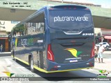 Pássaro Verde 23182 na cidade de Belo Horizonte, Minas Gerais, Brasil, por Valter Francisco. Número da foto: #:id.