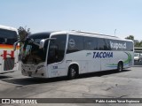 Tacoha 138 na cidade de Rancagua, Cachapoal, Libertador General Bernardo O'Higgins, Chile, por Pablo Andres Yavar Espinoza. Número da foto: #12566082.