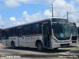 Borborema Imperial Transportes 245 na cidade de Jaboatão dos Guararapes, Pernambuco, Brasil, por André Luiz Araujo Silva. Número da foto: #12565309.