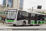 Viação Santa Brígida 1 1453 na cidade de São Paulo, São Paulo, Brasil, por Ricardo Luiz. Número da foto: #12568759.