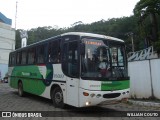 Pássaro Verde 25027 na cidade de Viçosa, Minas Gerais, Brasil, por WILLIAN COUTO. Número da foto: #12569351.