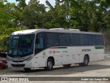 Borborema Imperial Transportes 019 na cidade de Jaboatão dos Guararapes, Pernambuco, Brasil, por André Luiz Araujo Silva. Número da foto: #12568447.
