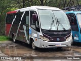 N&N Express 254 na cidade de Campos do Jordão, São Paulo, Brasil, por Carlos Eduardo. Número da foto: #12569932.