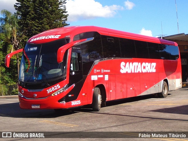 Viação Santa Cruz 36825 na cidade de Três Corações, Minas Gerais, Brasil, por Fábio Mateus Tibúrcio. Número da foto: #12570695.
