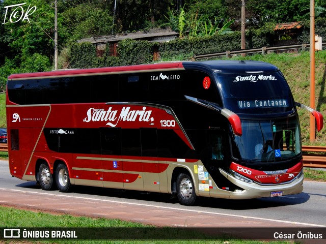 Santa Maria Fretamento e Turismo > Transportes Santa Maria(SP) 1300 na cidade de Betim, Minas Gerais, Brasil, por César Ônibus. Número da foto: #12572742.
