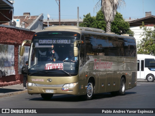 Talmocur 005 na cidade de Curicó, Curicó, Maule, Chile, por Pablo Andres Yavar Espinoza. Número da foto: #12570789.