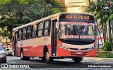 Belém Rio Transportes BD-219 na cidade de Belém, Pará, Brasil, por Nikolas Henderson. Número da foto: #12571359.
