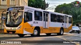 Empresa de Transportes Nova Marambaia AT-219 na cidade de Belém, Pará, Brasil, por Nikolas Henderson. Número da foto: #12570937.