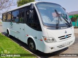 Embrapa 3928 na cidade de Curitiba, Paraná, Brasil, por Ricardo Fontes Moro. Número da foto: #12572666.