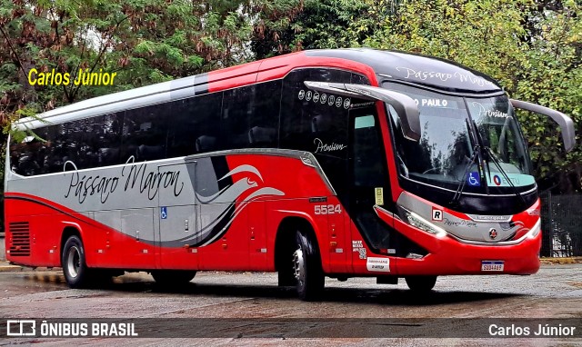 Empresa de Ônibus Pássaro Marron 5524 na cidade de São Paulo, São Paulo, Brasil, por Carlos Júnior. Número da foto: #12530702.