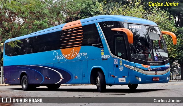 Empresa de Ônibus Pássaro Marron 5985 na cidade de São Paulo, São Paulo, Brasil, por Carlos Júnior. Número da foto: #12531313.