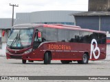 Borborema Imperial Transportes 2411 na cidade de Recife, Pernambuco, Brasil, por Rodrigo Fonseca. Número da foto: #12531452.