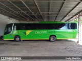 Pássaro Verde 20178 na cidade de Santa Bárbara, Minas Gerais, Brasil, por Kayky Silva Silva. Número da foto: #12529777.