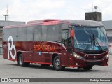 Borborema Imperial Transportes 2410 na cidade de Recife, Pernambuco, Brasil, por Rodrigo Fonseca. Número da foto: #12531419.