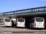 American Vans Transportes e Turismo 1903 na cidade de Porto Feliz, São Paulo, Brasil, por Weslley Kelvin Batista. Número da foto: #:id.