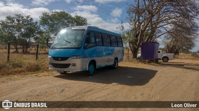 Água Viva 8540 na cidade de Belo Jardim, Pernambuco, Brasil, por Leon Oliver. Número da foto: #12573635.