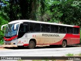 Rouxinol 2375 na cidade de Sabará, Minas Gerais, Brasil, por César Ônibus. Número da foto: #12575068.
