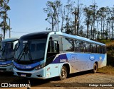 Viação São Luiz 24590 na cidade de Congonhas, Minas Gerais, Brasil, por Rodrigo  Aparecido. Número da foto: #12574889.