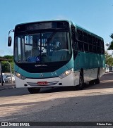Viação Nossa Senhora Conquistadora 515 na cidade de Pelotas, Rio Grande do Sul, Brasil, por Ribeiro Reis. Número da foto: #12575810.