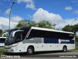 Guarios 2450 na cidade de Curitiba, Paraná, Brasil, por Danilo Marcelo Silva. Número da foto: #12574113.