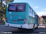 Laranjal Transportes 406 na cidade de Pelotas, Rio Grande do Sul, Brasil, por Ribeiro Reis. Número da foto: #12575792.