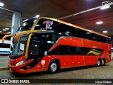 Viação Sertaneja 20242 na cidade de Belo Horizonte, Minas Gerais, Brasil, por César Ônibus. Número da foto: #12575301.