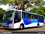 Viagens Malta 8020 na cidade de Sabará, Minas Gerais, Brasil, por César Ônibus. Número da foto: #12575057.