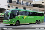 Pássaro Verde 19149 na cidade de Coimbra, Minas Gerais, Brasil, por Christian  Fortunato. Número da foto: #:id.