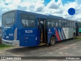 Transportes Capellini 19.230 na cidade de Vinhedo, São Paulo, Brasil, por Wellington Lima. Número da foto: #12573666.