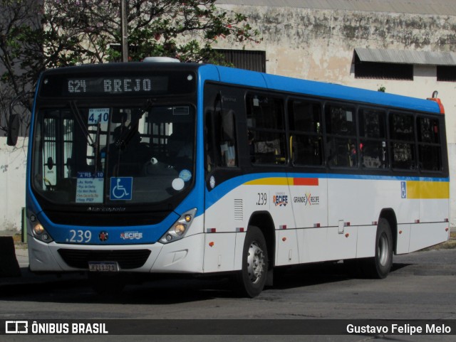 Consórcio Recife 239 na cidade de Recife, Pernambuco, Brasil, por Gustavo Felipe Melo. Número da foto: #12576620.