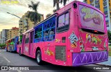 Ônibus Particulares PENELOPE BUS na cidade de Caldas Novas, Goiás, Brasil, por Carlos Júnior. Número da foto: #12576344.
