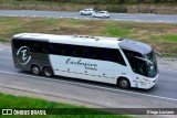 Exclusivo Turismo 6289 na cidade de Joinville, Santa Catarina, Brasil, por Diogo Luciano. Número da foto: #:id.