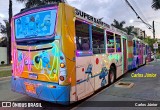 Ônibus Particulares 8D64 na cidade de Caldas Novas, Goiás, Brasil, por Carlos Júnior. Número da foto: #12576445.