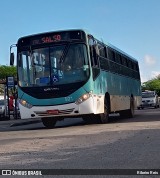 Viação Nossa Senhora Conquistadora 501 na cidade de Pelotas, Rio Grande do Sul, Brasil, por Ribeiro Reis. Número da foto: #12576750.