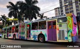 Ônibus Particulares 8D64 na cidade de Caldas Novas, Goiás, Brasil, por Carlos Júnior. Número da foto: #12576450.