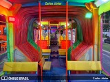 Ônibus Particulares 8D64 na cidade de Caldas Novas, Goiás, Brasil, por Carlos Júnior. Número da foto: #12576443.