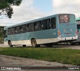 Laranjal Transportes 436 na cidade de Pelotas, Rio Grande do Sul, Brasil, por Ribeiro Reis. Número da foto: #12576768.