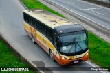 Fratelli Transporte e Turismo 379 na cidade de Joinville, Santa Catarina, Brasil, por Diogo Luciano. Número da foto: #12578015.