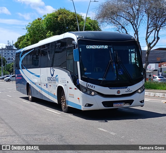 GonzagaTur Transporte e Turismo 1101 na cidade de Belém, Pará, Brasil, por Samara Goes. Número da foto: #12580847.