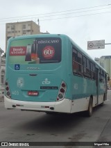 Laranjal Transportes 403 na cidade de Pelotas, Rio Grande do Sul, Brasil, por Miguel Filho. Número da foto: #12579266.