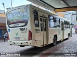 Araucária Transportes Coletivos 19047 na cidade de Curitiba, Paraná, Brasil, por Amauri Souza. Número da foto: #12580512.