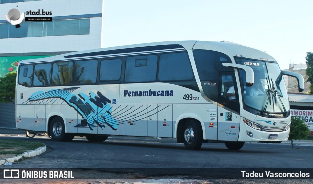 Viação Pernambucana Transporte e Turismo 337 na cidade de Petrolina, Pernambuco, Brasil, por Tadeu Vasconcelos. Número da foto: #12581708.