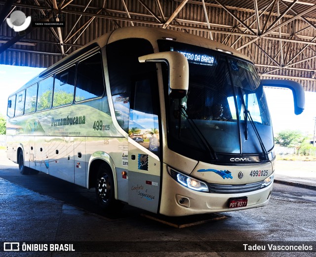 Viação Pernambucana Transporte e Turismo 325 na cidade de Juazeiro, Bahia, Brasil, por Tadeu Vasconcelos. Número da foto: #12581696.