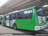 VB Transportes e Turismo 3345 na cidade de Campinas, São Paulo, Brasil, por Fabrício Portella Matos. Número da foto: #12582662.