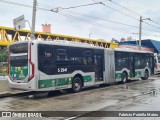 Via Sudeste Transportes S.A. 5 2941 na cidade de São Paulo, São Paulo, Brasil, por Fabrício Portella Matos. Número da foto: #12582463.